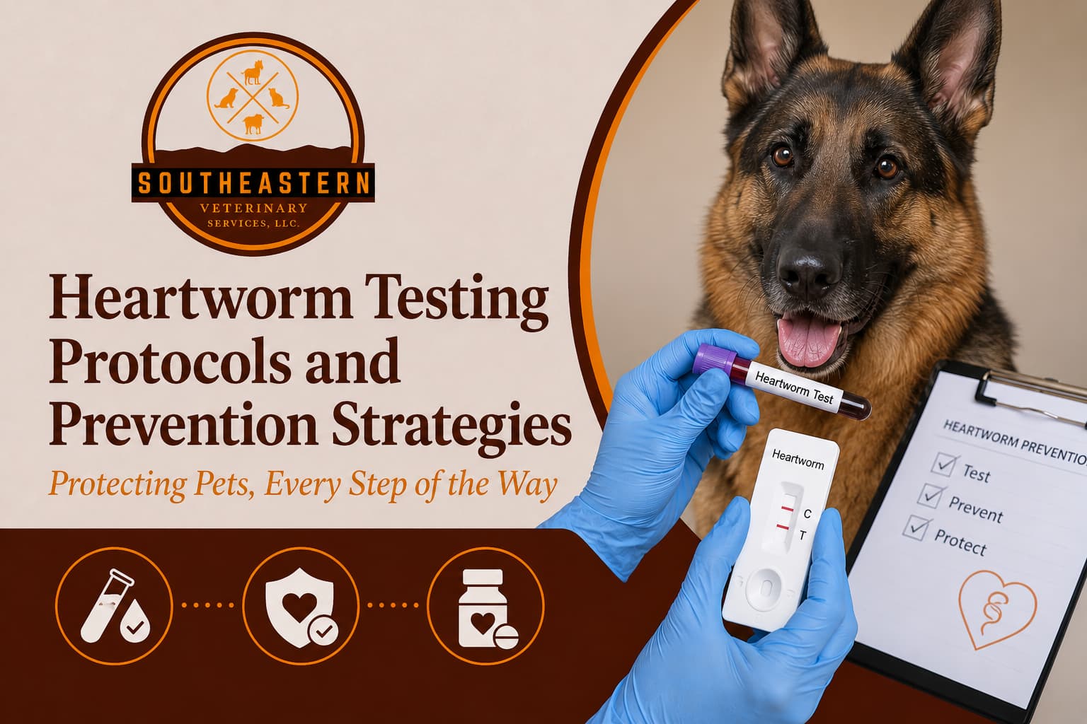 Heartworm Testing Protocols and Prevention Strategies
