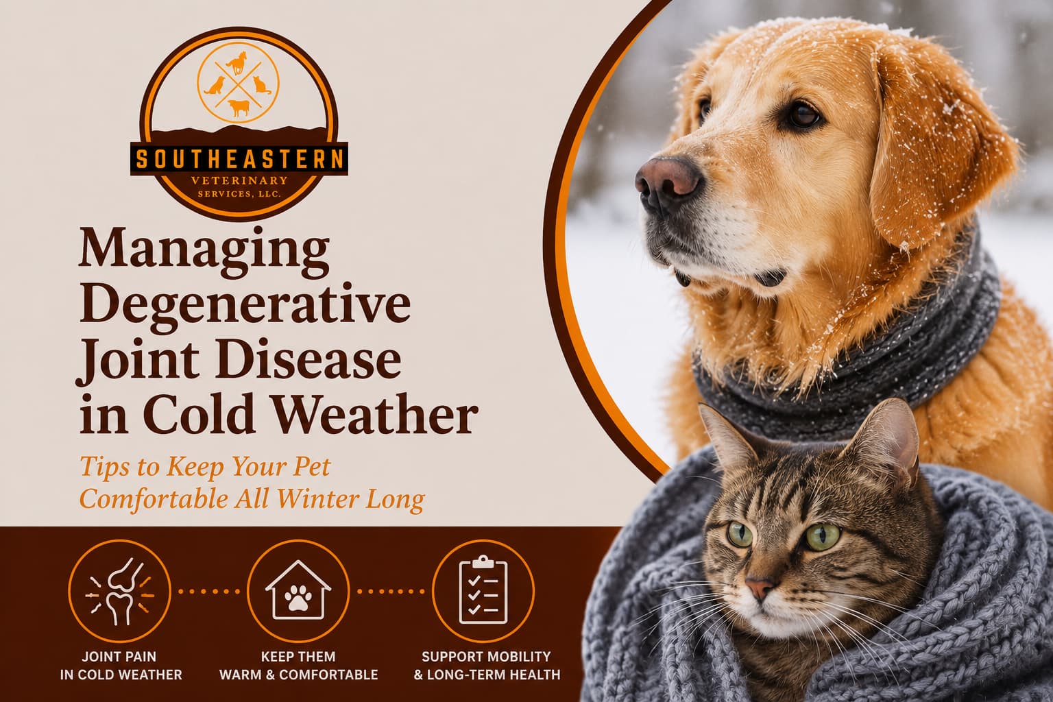 Managing Degenerative Joint Disease in Cold Weather